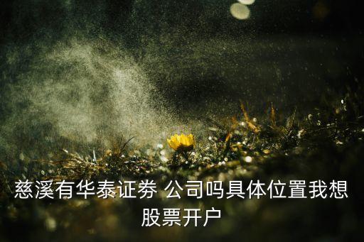 慈溪有華泰證劵 公司嗎具體位置我想股票開(kāi)戶