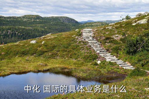  中化 國(guó)際的具體業(yè)務(wù)是什么