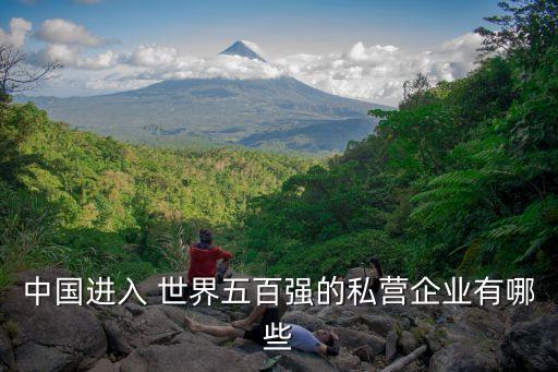 世界500強(qiáng)中國私企,全國500強(qiáng)企業(yè)排名