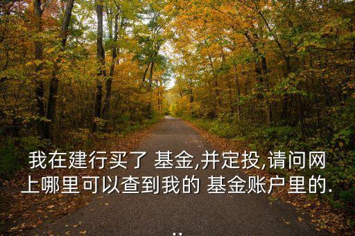 我在建行買(mǎi)了 基金,并定投,請(qǐng)問(wèn)網(wǎng)上哪里可以查到我的 基金賬戶里的...