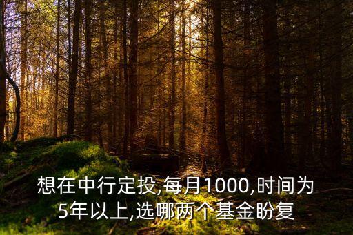 想在中行定投,每月1000,時間為5年以上,選哪兩個基金盼復