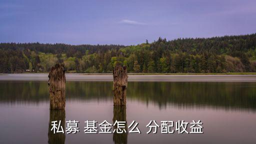 基金利潤分配方式,關(guān)于基金利潤分配的表述錯(cuò)誤的是