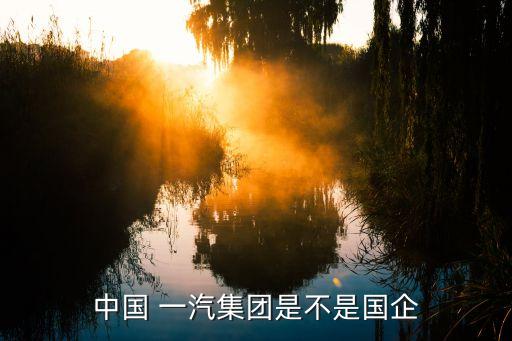 長春一汽啟明信息技術股份有限公司,啟明信息技術股份有限公司是國企嗎