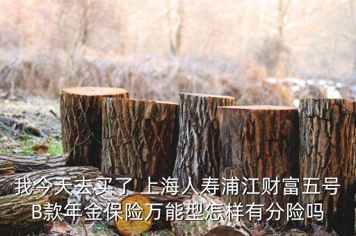 我今天去買了 上海人壽浦江財富五號B款年金保險萬能型怎樣有分險嗎