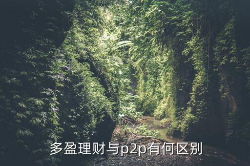 上海多盈投資,上海阜盈投資董事長
