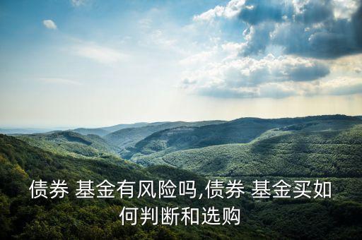 債券 基金有風(fēng)險(xiǎn)嗎,債券 基金買如何判斷和選購(gòu)