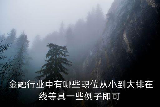  金融行業(yè)中有哪些職位從小到大排在線等具一些例子即可