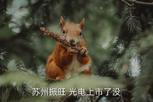蘇州振旺 光電上市了沒(méi)