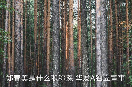 鄭春美是什么職稱深 華發(fā)A獨立董事