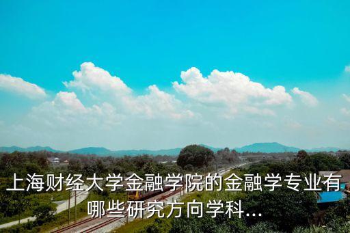 上海財(cái)經(jīng)大學(xué)金融學(xué)院的金融學(xué)專(zhuān)業(yè)有哪些研究方向?qū)W科...