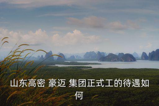 豪邁集團吧,山東豪邁集團