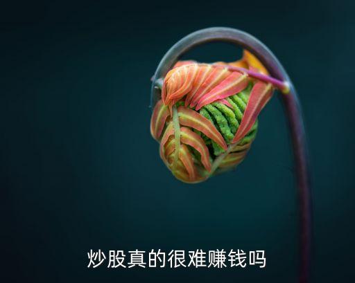 炒股真的很難賺錢(qián)嗎
