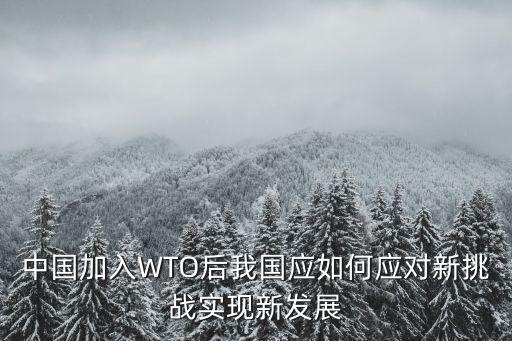 中國加入WTO后我國應如何應對新挑戰(zhàn)實現(xiàn)新發(fā)展