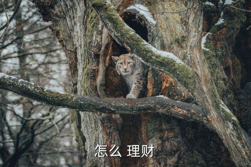 怎么 理財