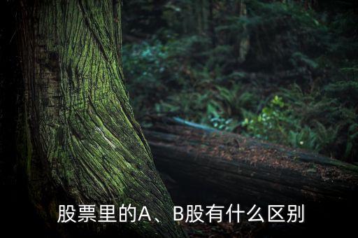 股票里的A、B股有什么區(qū)別
