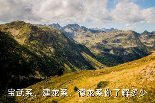 寶武系、建龍系、德龍系你了解多少