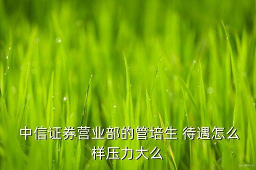  中信證券營業(yè)部的管培生 待遇怎么樣壓力大么