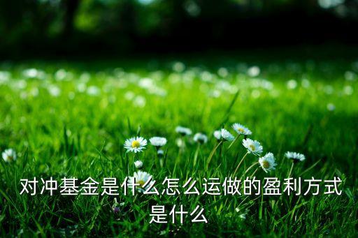 對(duì)沖基金頂尖交易人操盤案例