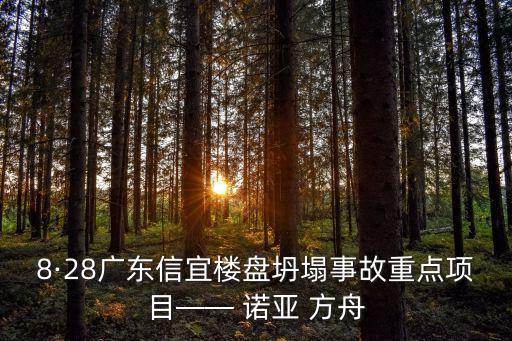 8·28廣東信宜樓盤坍塌事故重點(diǎn)項(xiàng)目—— 諾亞 方舟