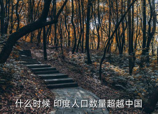 什么時(shí)候 印度人口數(shù)量超越中國