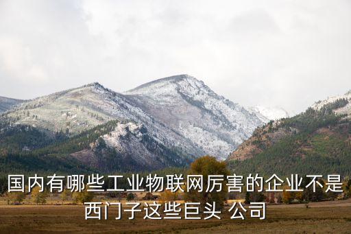 國(guó)內(nèi)有哪些工業(yè)物聯(lián)網(wǎng)厲害的企業(yè)不是西門子這些巨頭 公司