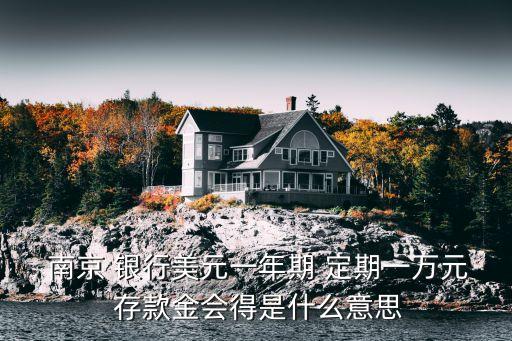  南京 銀行美元一年期 定期一萬元 存款金會(huì)得是什么意思