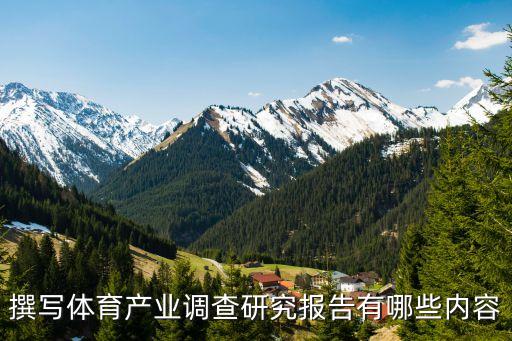 撰寫體育產業(yè)調查研究報告有哪些內容