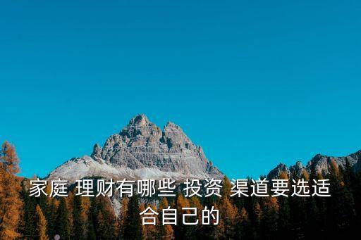家庭 理財有哪些 投資 渠道要選適合自己的