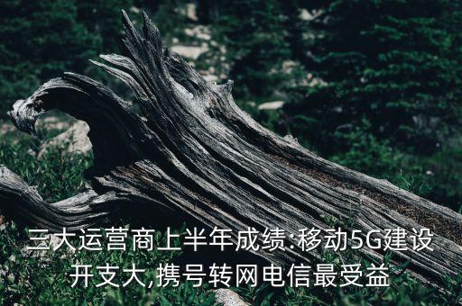 三大運(yùn)營商上半年成績:移動5G建設(shè)開支大,攜號轉(zhuǎn)網(wǎng)電信最受益