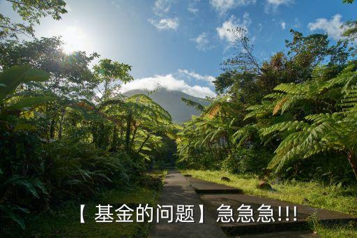 【 基金的問(wèn)題】急急急!!!