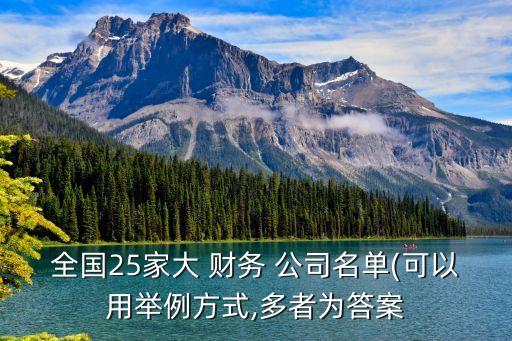 全國25家大 財務 公司名單(可以用舉例方式,多者為答案