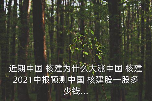 近期中國 核建為什么大漲中國 核建2021中報(bào)預(yù)測中國 核建股一股多少錢...