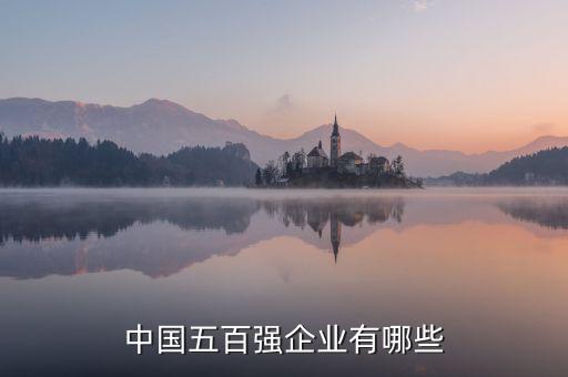 中國(guó)五百?gòu)?qiáng)企業(yè)有哪些