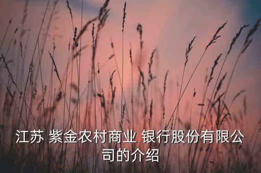 紫金農(nóng)商銀行湯宇,紫金銀行湯宇簡歷