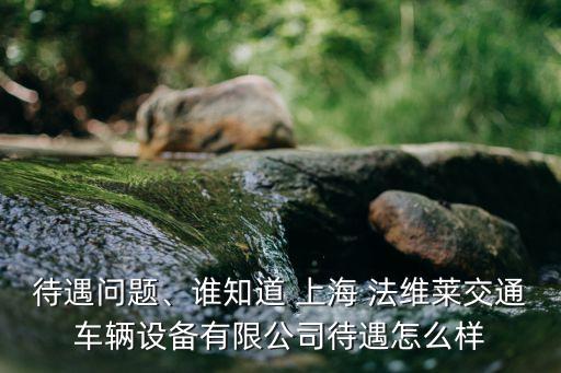 待遇問題、誰知道 上海 法維萊交通車輛設(shè)備有限公司待遇怎么樣