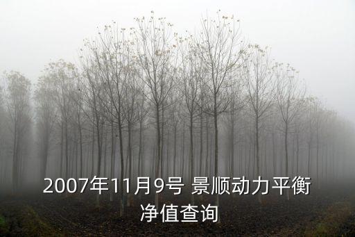 2007年11月9號 景順動力平衡 凈值查詢