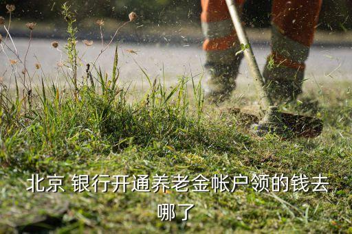  北京 銀行開(kāi)通養(yǎng)老金帳戶領(lǐng)的錢去哪了