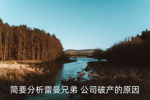 簡要分析雷曼兄弟 公司破產的原因