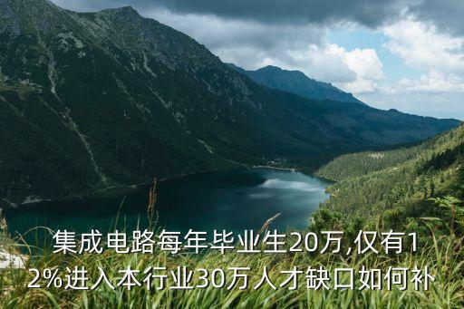 中國(guó)集成電路產(chǎn)業(yè)蓄勢(shì)待發(fā)