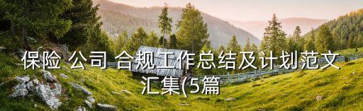保險(xiǎn) 公司 合規(guī)工作總結(jié)及計(jì)劃范文匯集(5篇