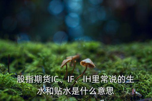 股指期貨IC、IF、IH里常說的生水和貼水是什么意思