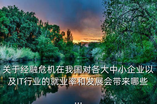 關于經(jīng)融危機在我國對各大中小企業(yè)以及IT行業(yè)的就業(yè)率和發(fā)展會帶來哪些...