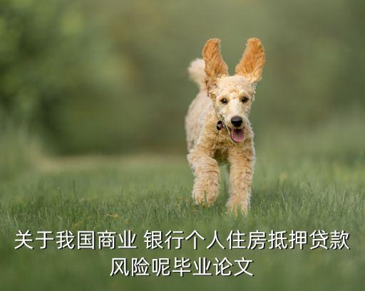 關(guān)于我國商業(yè) 銀行個(gè)人住房抵押貸款風(fēng)險(xiǎn)呢畢業(yè)論文