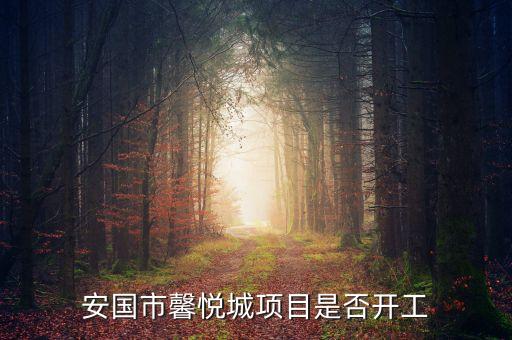 安國市馨悅城項目是否開工