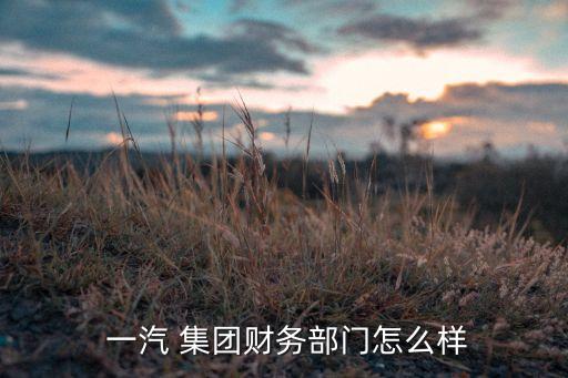  一汽 集團財務部門怎么樣