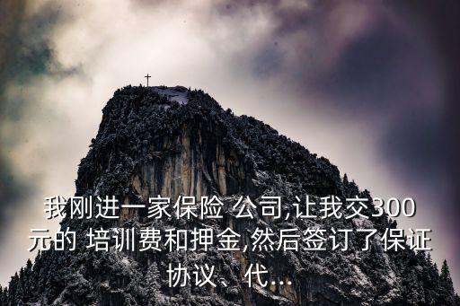 我剛進(jìn)一家保險(xiǎn) 公司,讓我交300元的 培訓(xùn)費(fèi)和押金,然后簽訂了保證協(xié)議、代...