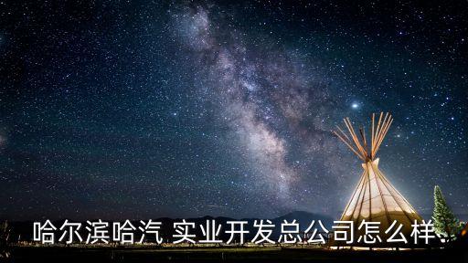 上海玖佰實業(yè)有限公司,江西玖佰房地產(chǎn)營銷策劃有限公司