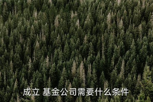 外資設(shè)立基金,外資基金公司進(jìn)入中國