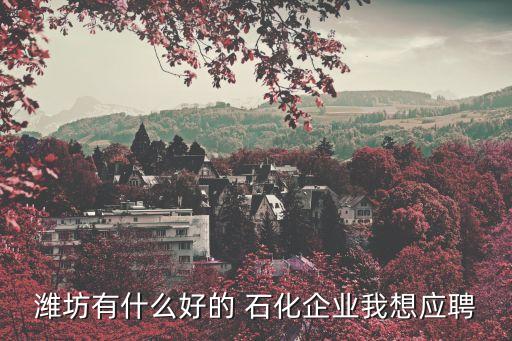 濰坊有什么好的 石化企業(yè)我想應(yīng)聘