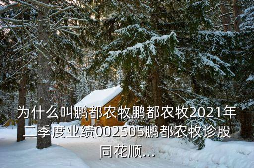 為什么叫鵬都農牧鵬都農牧2021年二季度業(yè)績002505鵬都農牧診股同花順...